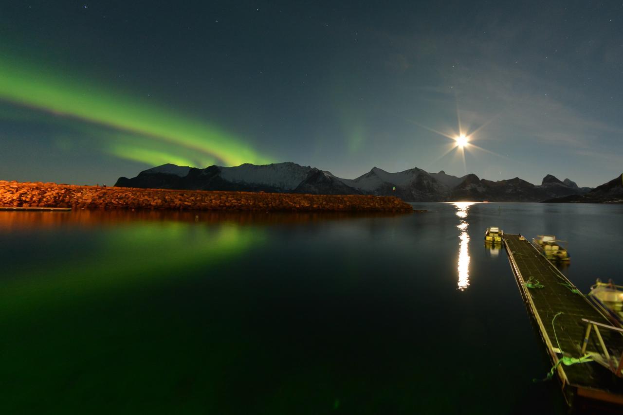 ホテル Mefjord Brygge Mefjordvær エクステリア 写真
